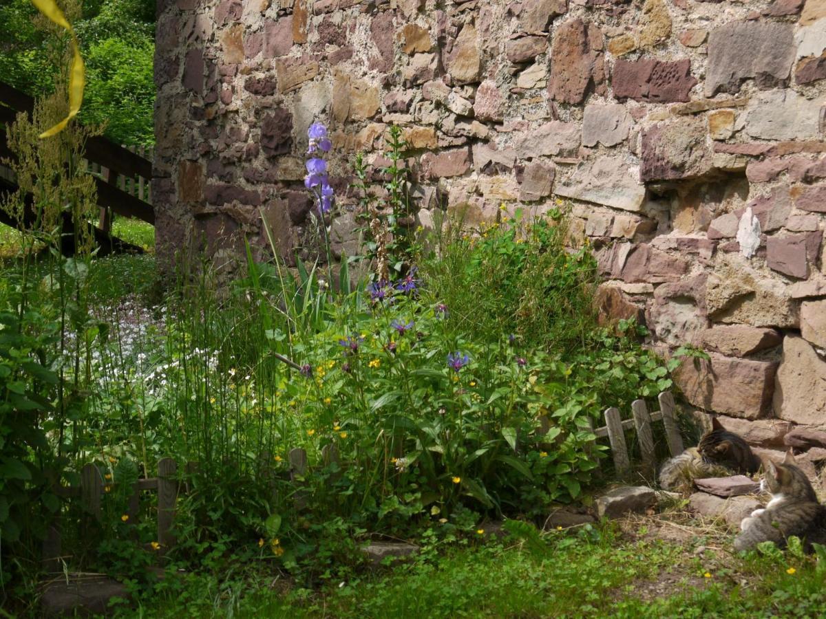Ferienwohnungen Am Campingplatz Trendelburg Exteriér fotografie