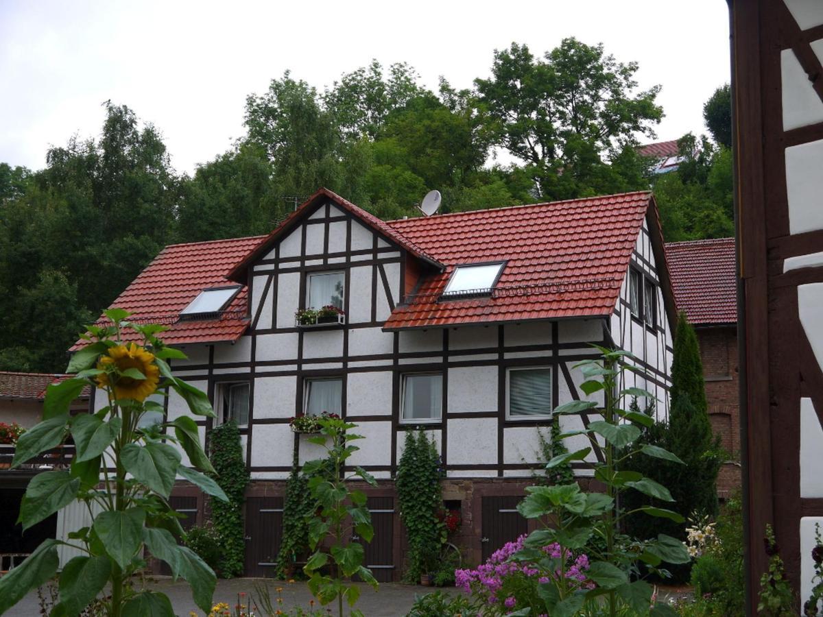 Ferienwohnungen Am Campingplatz Trendelburg Exteriér fotografie